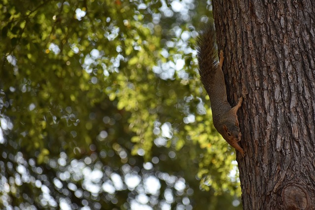 OB体育最新官网入口